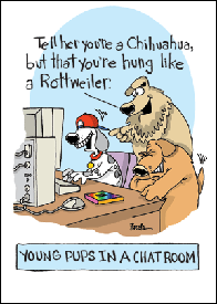 K6717 - YOUNG PUPS IN A CHAT ROOM